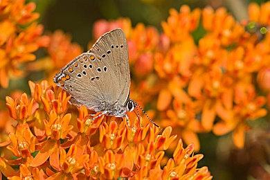 10月底发售 攀岩游戏新作《Jusant》实机演示赏