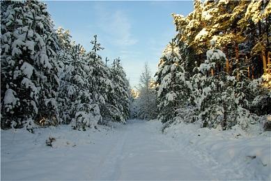 《无主之地 4》首发支持DLSS 4，全新驱动推出